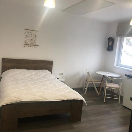 Appartamento Garsoniera La Munte Azuga Esterno foto