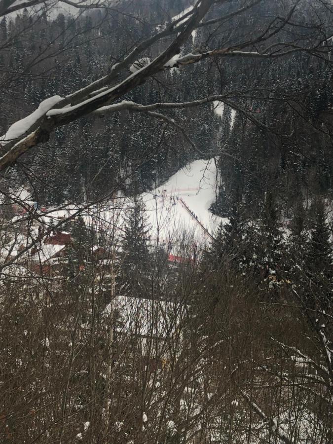 Appartamento Garsoniera La Munte Azuga Esterno foto