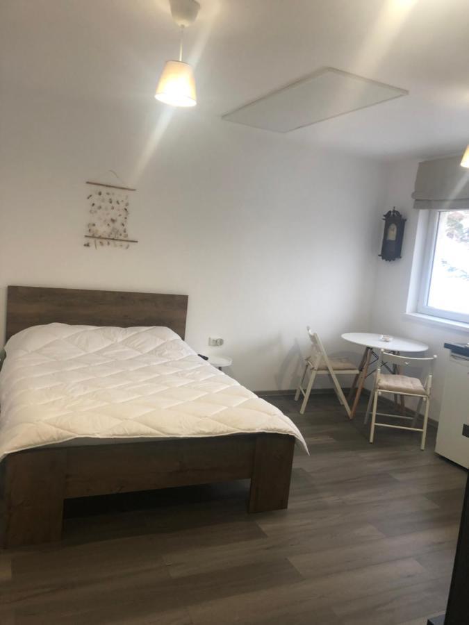 Appartamento Garsoniera La Munte Azuga Esterno foto
